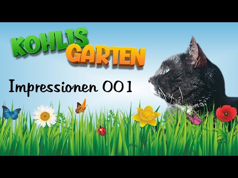 Kohlis Garten Impressionen #001 (April/ Mai 2024)