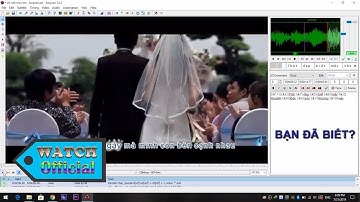 Aegisub | Những điều cơ bản cần biết