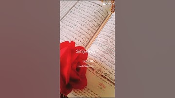 سورة الكهف#يوم الجمعة#القرآن الكريم#