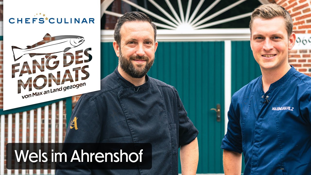 Fang Des Monats - Wels im Ahrenshof