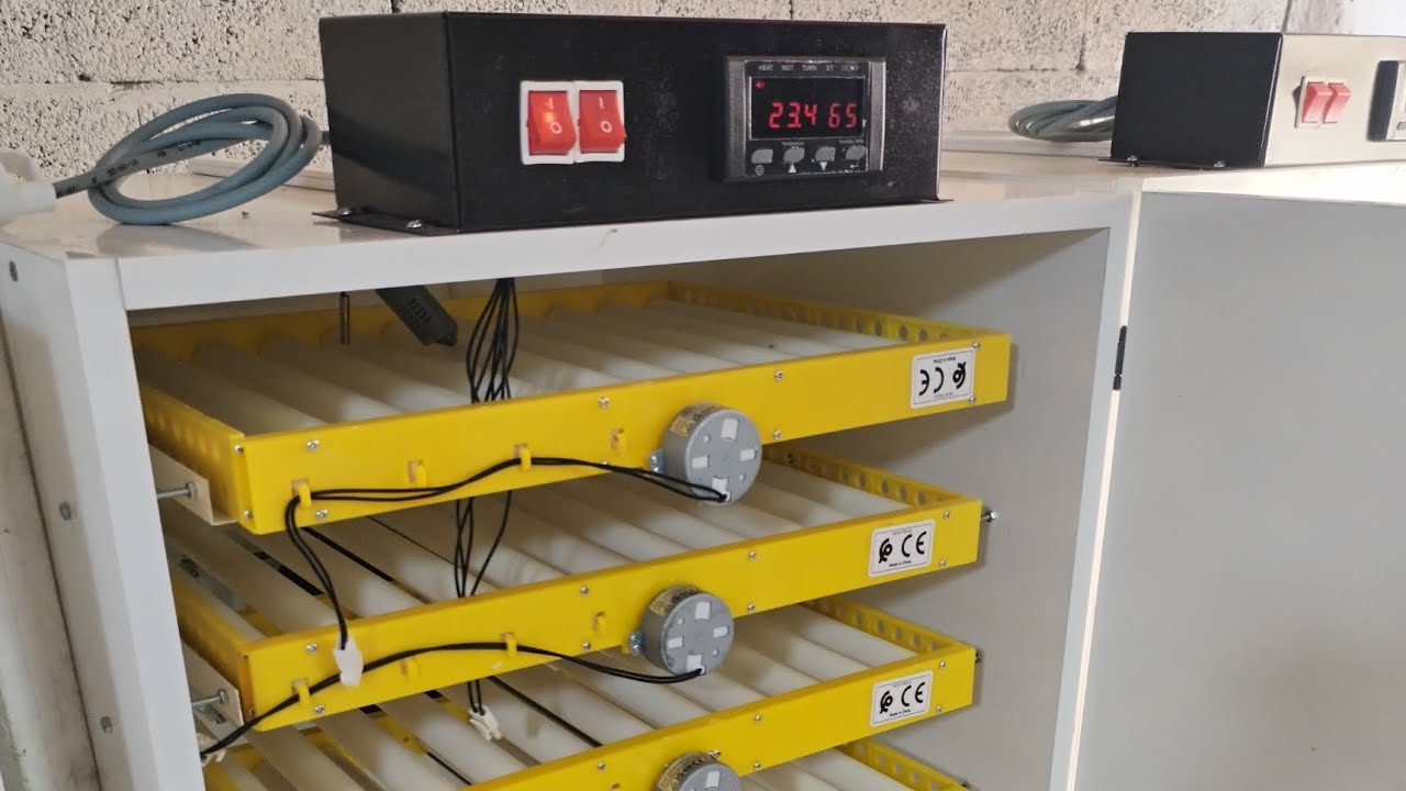 فقاسة 240 بيضة نظام الدفعات 06.32.56.84.90 