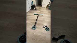 :     # #scootering #shulz