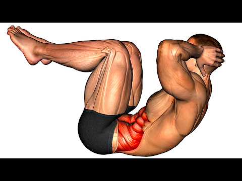 How To Lose Belly Fat and Get Abs Fast