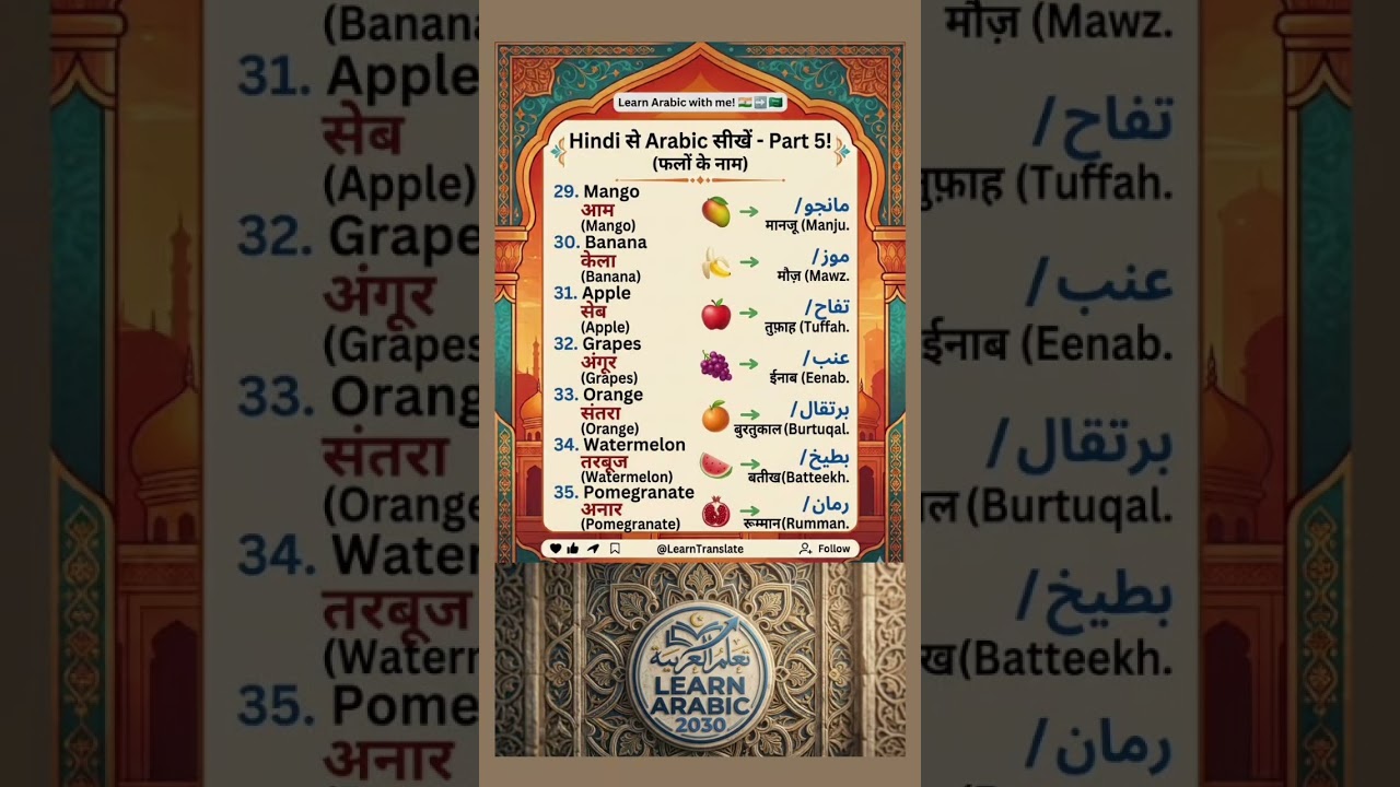 learn hindi arabic english|learn arabic 2030 #arabic #study