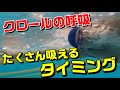 【クロール】たくさん吸える呼吸のタイミング!