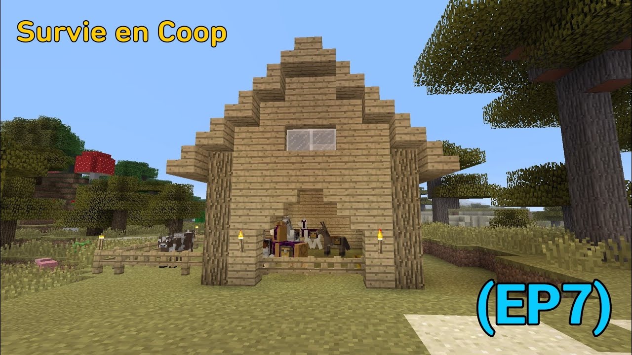 Comment Faire Une Survie En Coop Minecraft