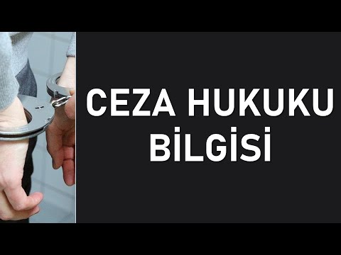 Ceza Hukuku Bilgisi Dersi Çözümlü Sınav Soruları | ✅ Çok Önemli İzlemeden Geçme