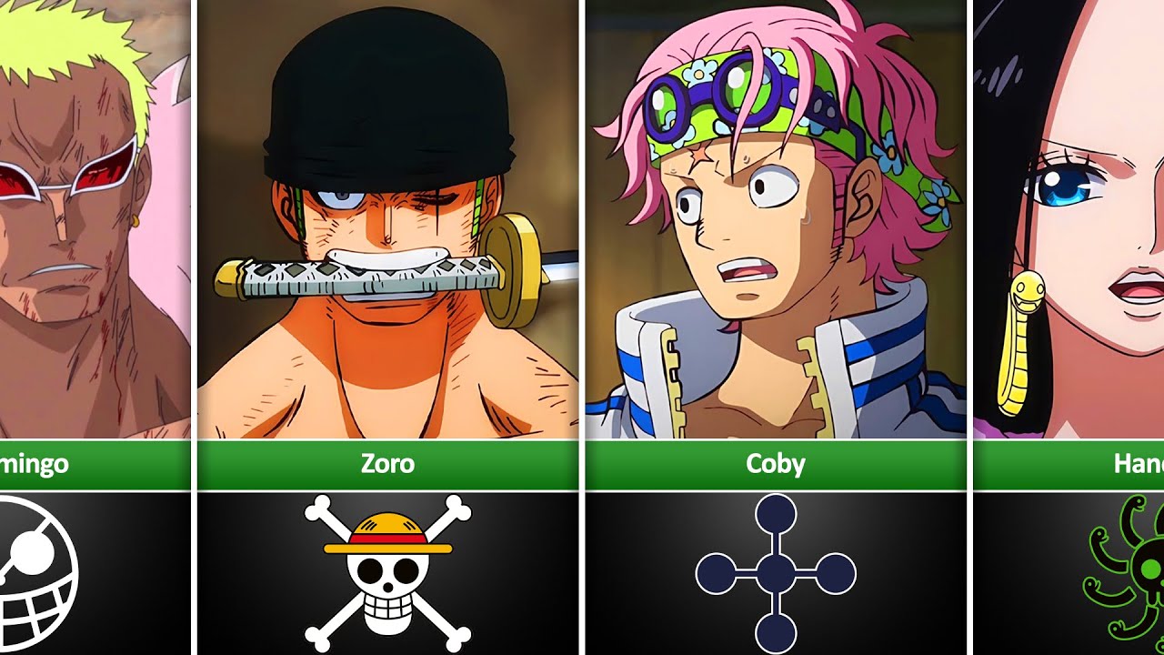 All Conqueror's Haki Users in One Piece YouTube