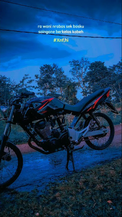 Story WA Versi Tiger||Kekinian 🙌