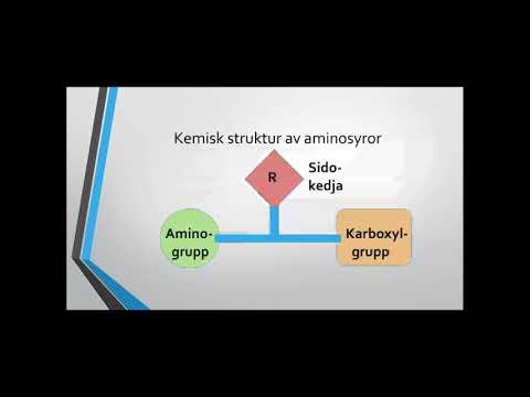 Video: Biokemiska Och Fysiologiska Baser För Användning Av Aminosyror I Kosten För Unga Grisar