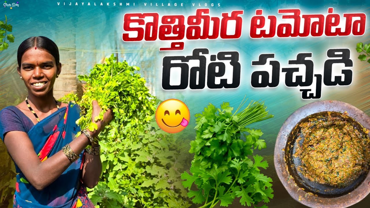 కొత్తిమీర టమోటా ||రోటి పచ్చడి|| పల్లెటూరి స్టైల్ లో 😋😋||kutteMera|| tomato Roti Pachadi Telugu