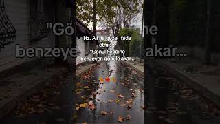 En Güzel Anlamlı Sözler