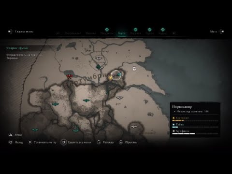 Кумжа мелкая Assassin's Creed Valhalla