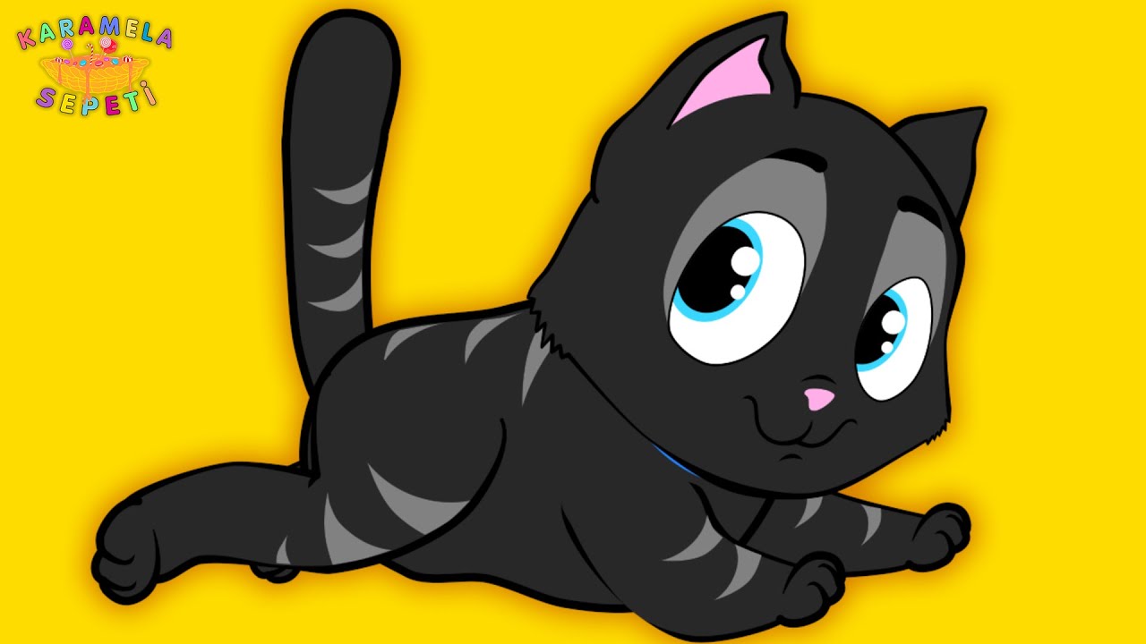 Kara Kedi Onur Erol Karamela Sepeti Cocuk Sarkilari Youtube Kara Kedi Sarkilar Kedi