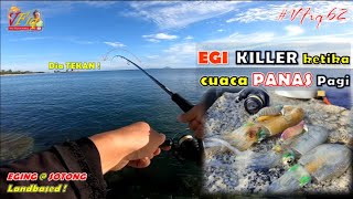 Eging - Padu warna Anak Cicok waktu Panas Pagi - VFiq62 | Yamashita Egi | Seahawk Line | Egi Sutte R