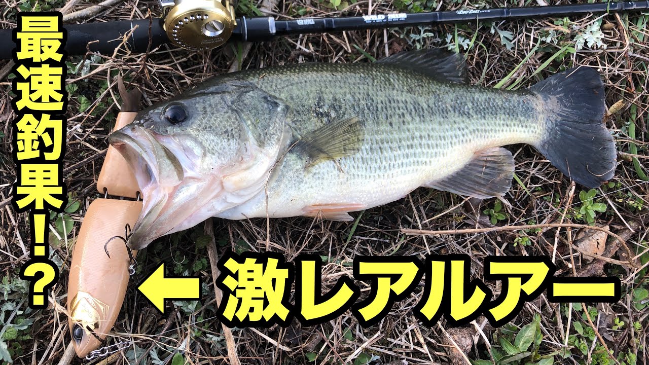 マルチピース ビッグベイトロッド 初心者から上級者まで 凄いおすすめなビッグベイトロッド Youtube