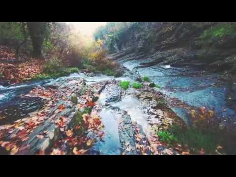 თბილისის ბოტანიკური ბაღი 4K