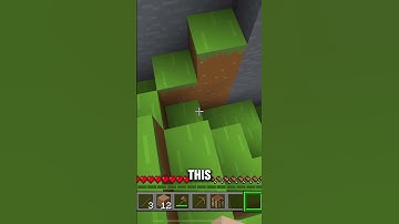 Minecraft, but if I take damage, it gets more realistic #minecraft #Shorts #minecraftbutchallenges