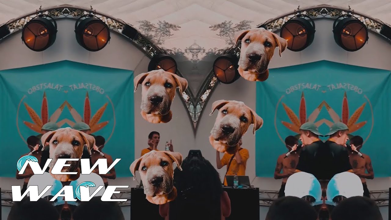 Negatiiv OG Hanfbar Recap