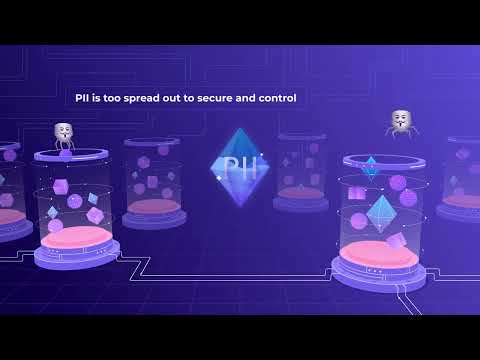 Animated Explainer - Data Privacy Vault