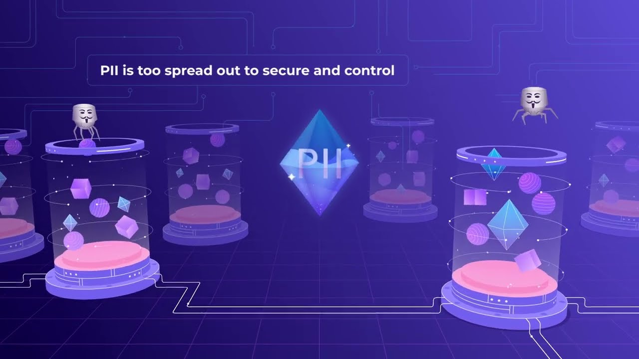 Animated Explainer - Data Privacy Vault