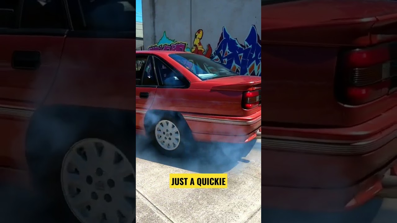 ORIGINAL HOLDEN VN SS