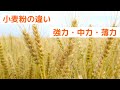 小麦粉の種類について～強力・中力・薄力【自家製酵母パン教室ぱん蔵/東京/山梨】