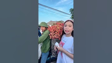 Vải Lục Ngạn giá 3k-5k/1kg?  #maysaagailao