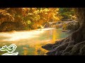 Beautiful Relaxing Music: "Our Future" by Peder B. Helland (Official Video)