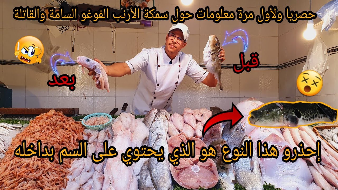 معلومات مفيدة و طريقة تنظيف سمكة الأرنب الفوغو السامة والقاتلة الموجودة بالمغرب اللهم إني قد بلغت😵☠🧐