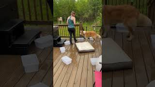 IMG 7305