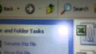 A Computer Virus Or Actual  Bug