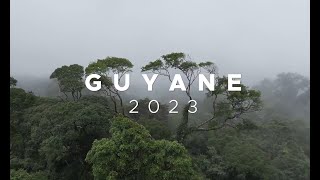 Dans la jungle Guyanaise [Guyane 3]