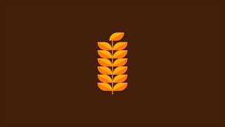 How to Draw Wheat Grain Flat Design Graphic Design Adobe Illustrator Tutorial