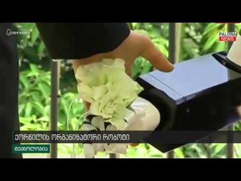 ქორწილის ორგანიზატორი რობოტი - ჩინელი წყვილების ხელის მოწერის ცერემონიას რობოტი უძღვება