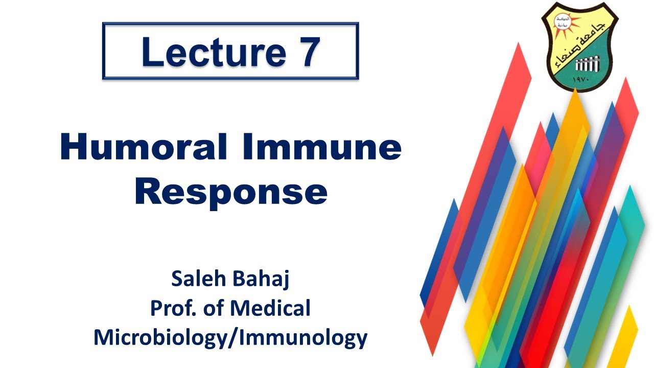 7 Humoral Immune Response