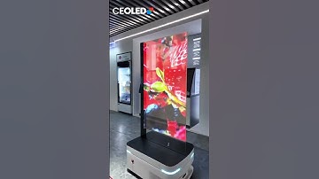 CEOLED Display RK-O55-LTPAT-OLED Navigator