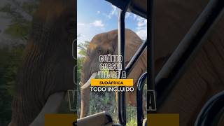 Cuánto cuesta viajar a Sudáfrica 🦁 #shorts