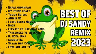 DJ SANDY REMIX 2023 TIKTOK NEW VIRAL REMIX 2023 NON STOP DISCO BUDOTS REMIX