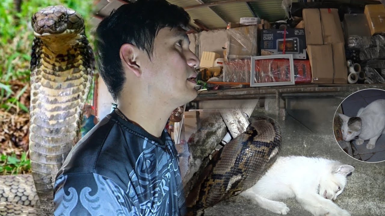 SA BUDEGA NAKITA ANG MGA KALANS@Y NG MGA  NA NAWAWALA #cobraprince 