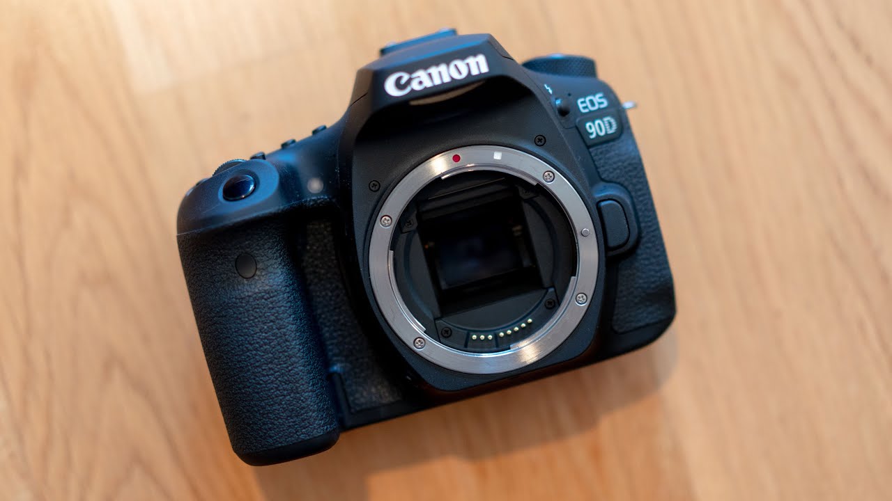 Canon 90D Photography Review | Street Photography - YouTube