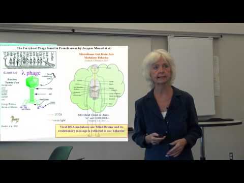 Isis Thesis Balls Of Fire And Woodstock 1969