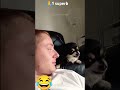 9 Tháng 6 2025 1 Superstar 1 đăng Ký Video Chó Mèo Hài Hước Clip Cats And Dogs Meme Funny 9 Tháng 6 2025 1 Superstar 1 đăng Ký Video Chó Mèo Hài Hước Clip Cats And Dogs Meme Funny