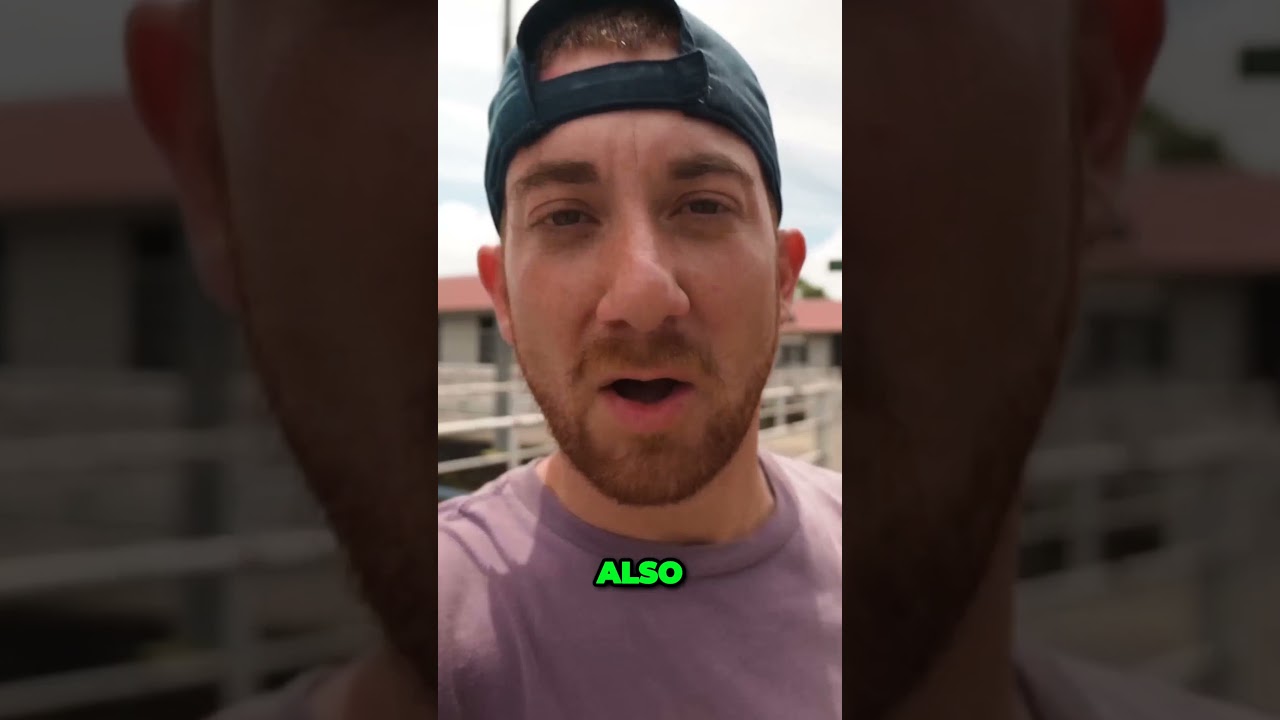 Rediscovering Islamic Culture in Surprising Brunei  A Journey of Contrasts.  shorts 