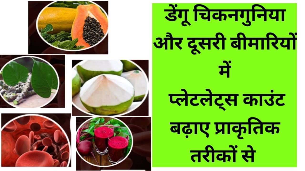 How to increase blood platelets rapidly in Hindi तेजी से प्लेटलेट्स