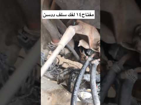 سلف ددسن ٢٠٠٥