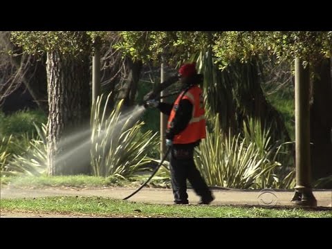 How California plans
