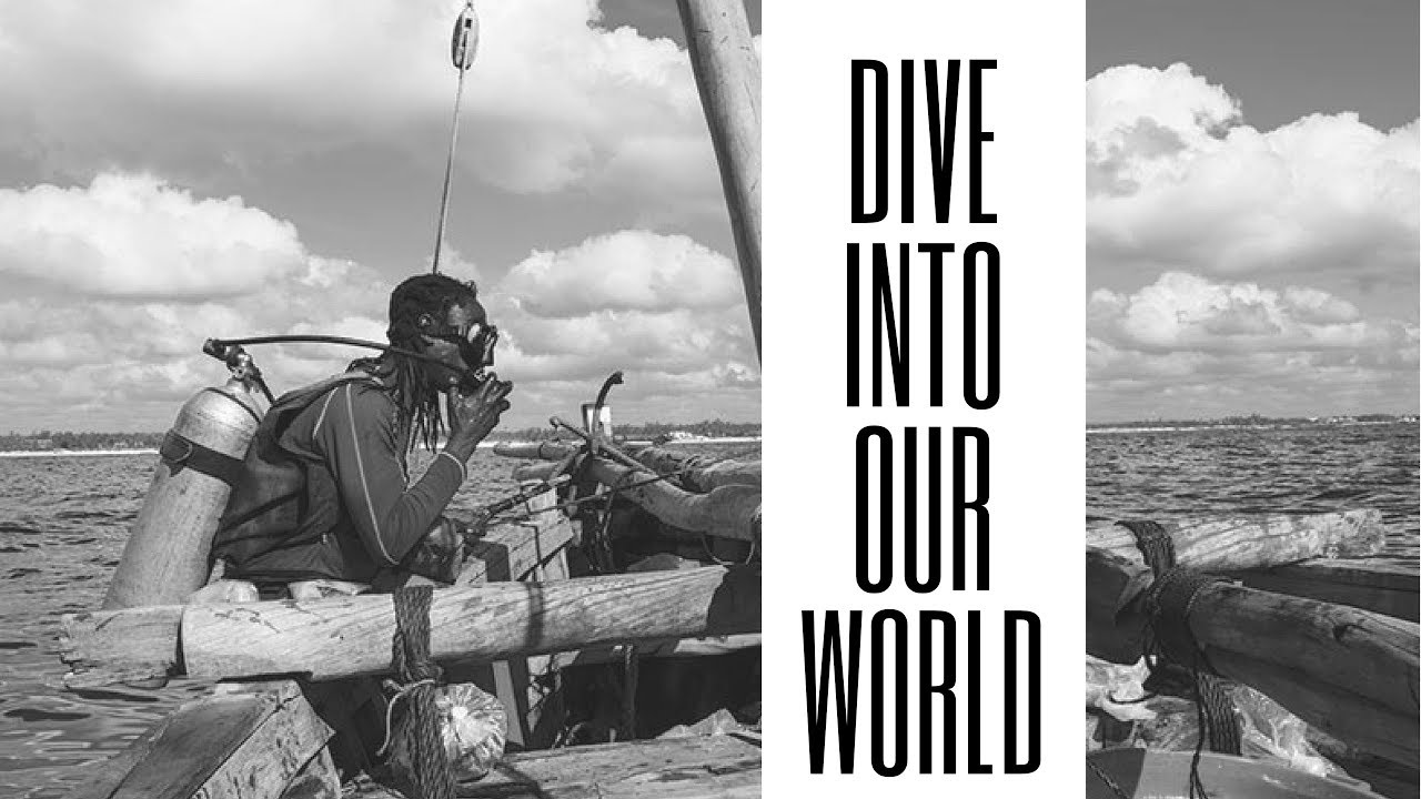 KENYA MARINE CENTER | AFRICA'S LEADING TROPICAL MARINE FISH EXPORTER