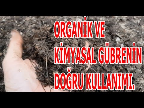 Video: Mineral Gübreler Nasıl Doğru Kullanılır