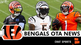 Bengals OTA Takeaways On Ja’Marr Chase, Dax Hill, Amarius Mims, Vonn Bell, Joe Burrow & Trent Brown